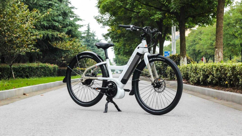 Expensive Electric Bicycle